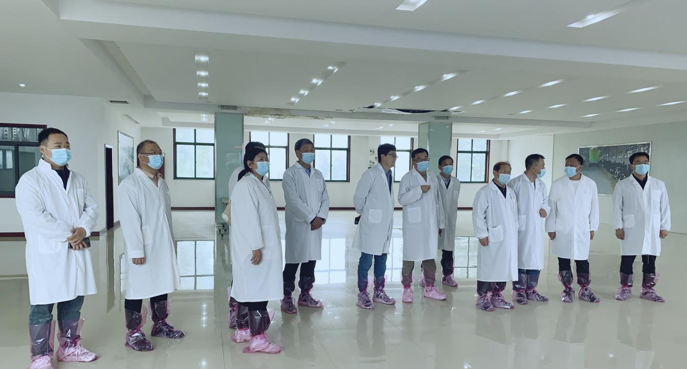 花花牛丨河南農(nóng)業(yè)大學(xué)黨委副書記、校長介曉磊一行蒞臨花花牛河南瑞亞參觀調(diào)研