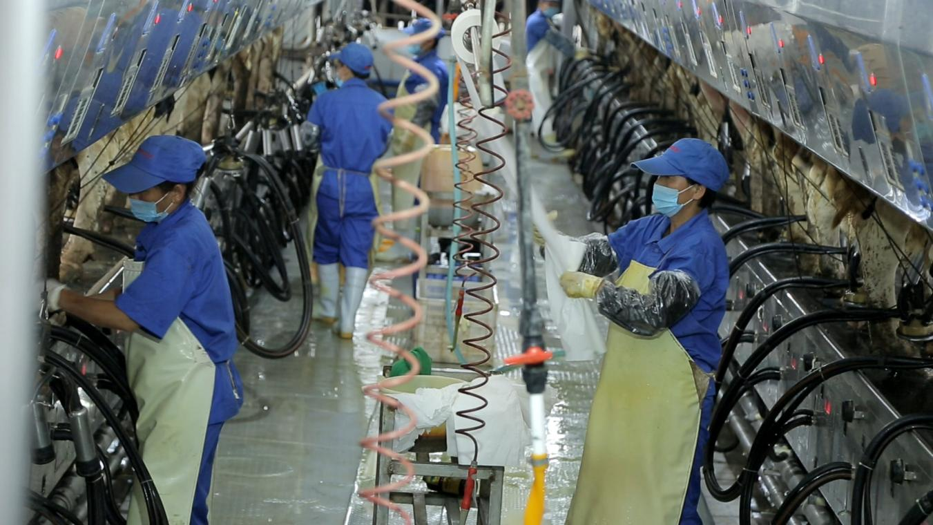 花花牛丨河南農(nóng)業(yè)大學(xué)黨委副書記、校長介曉磊一行蒞臨花花牛河南瑞亞參觀調(diào)研