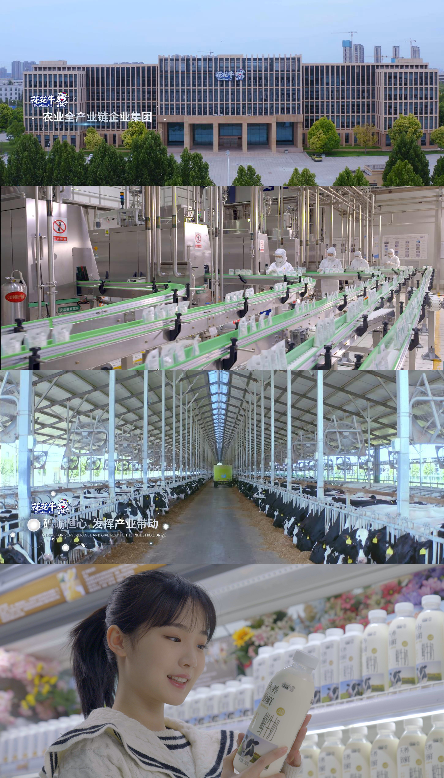 快訊 | 沈陽市政府副市長(zhǎng)鄭濱一行蒞臨花花牛乳業(yè)集團(tuán)考察