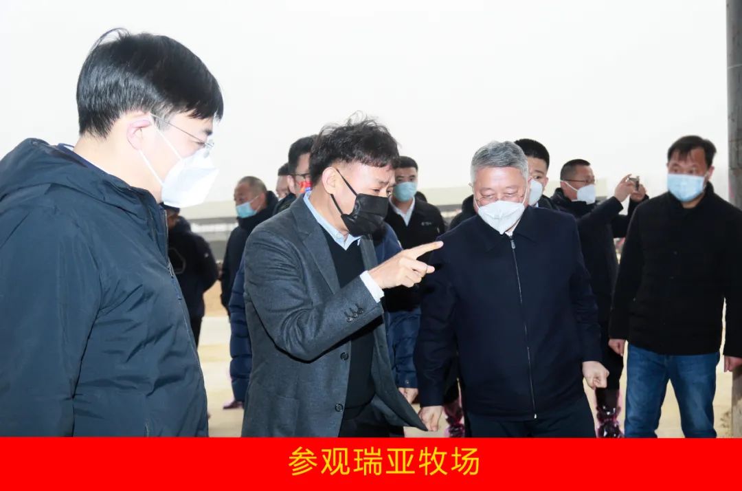 新年開新局 合作促發(fā)展丨佳木斯市委常委、副市長閆志剛一行蒞臨花花牛乳業(yè)集團(tuán)及佳田企業(yè)考察座談