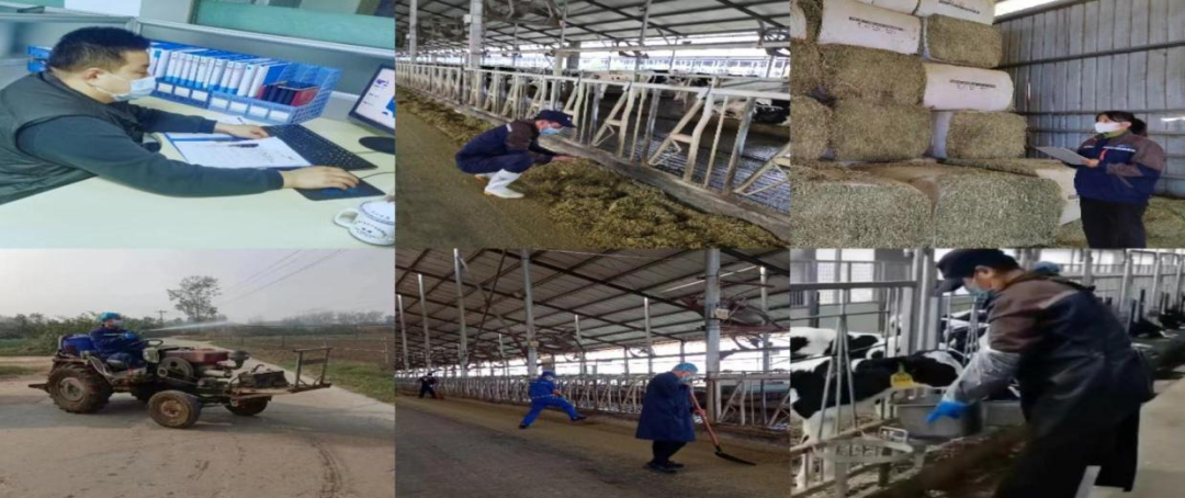 @全體花花牛人：請珍惜你的崗位，請善待我們共同的“花花牛”！