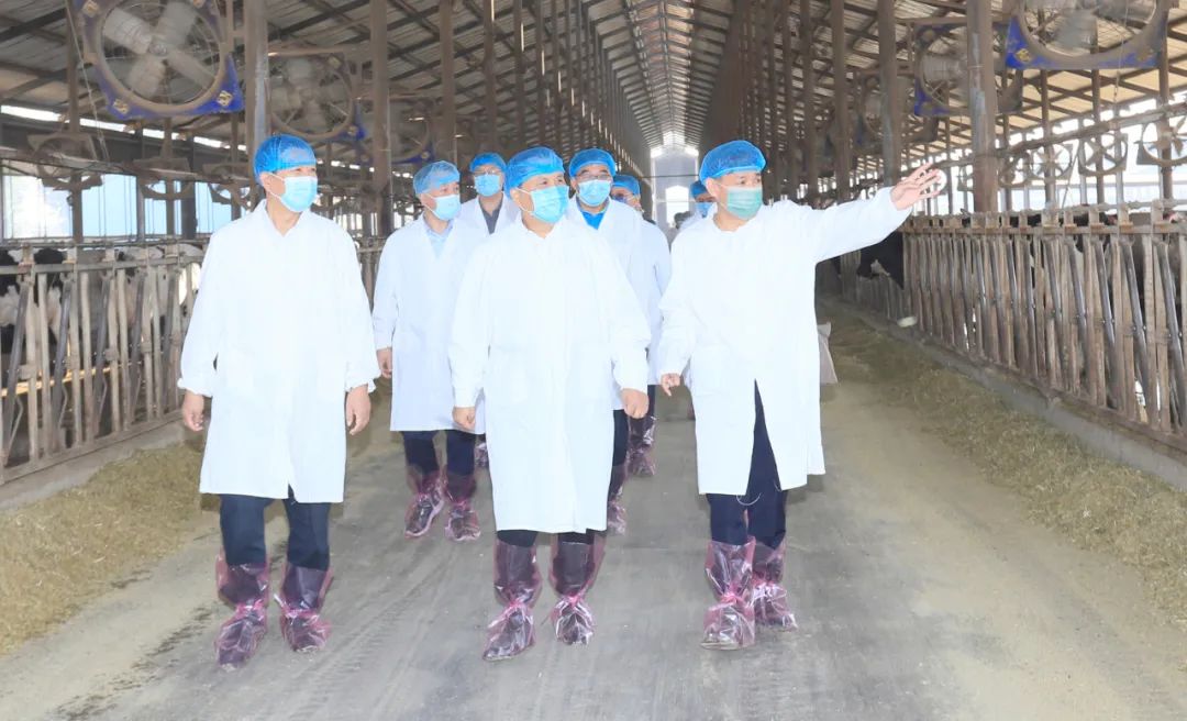 快訊丨河南省人民政府副省長(zhǎng)武國(guó)定蒞臨花花牛乳業(yè)集團(tuán)瑞亞牧業(yè)調(diào)研奶源基地建設(shè)情況 快訊丨河南省人民政府副省長(zhǎng)武國(guó)定蒞臨花花牛乳業(yè)集團(tuán)瑞亞牧業(yè)調(diào)研奶源基地建設(shè)情況