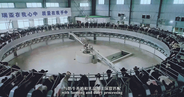 快訊 | 湖北省農(nóng)業(yè)廳副廳長(zhǎng)王海濤等領(lǐng)導(dǎo)一行蒞臨河南花花牛乳業(yè)集團(tuán)參觀調(diào)研