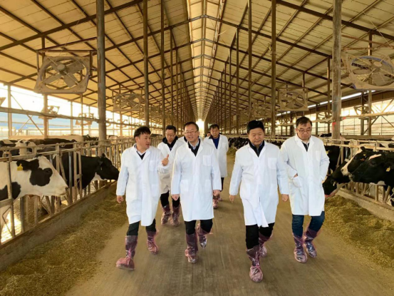 寧夏回族自治區(qū)農(nóng)業(yè)農(nóng)村廳黨組書記、廳長(zhǎng)王剛一行蒞臨花花牛乳業(yè)集團(tuán)調(diào)研