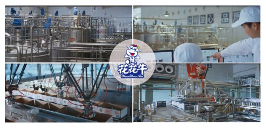 榮獲全國“質(zhì)量月”五項大獎，花花牛真牛！