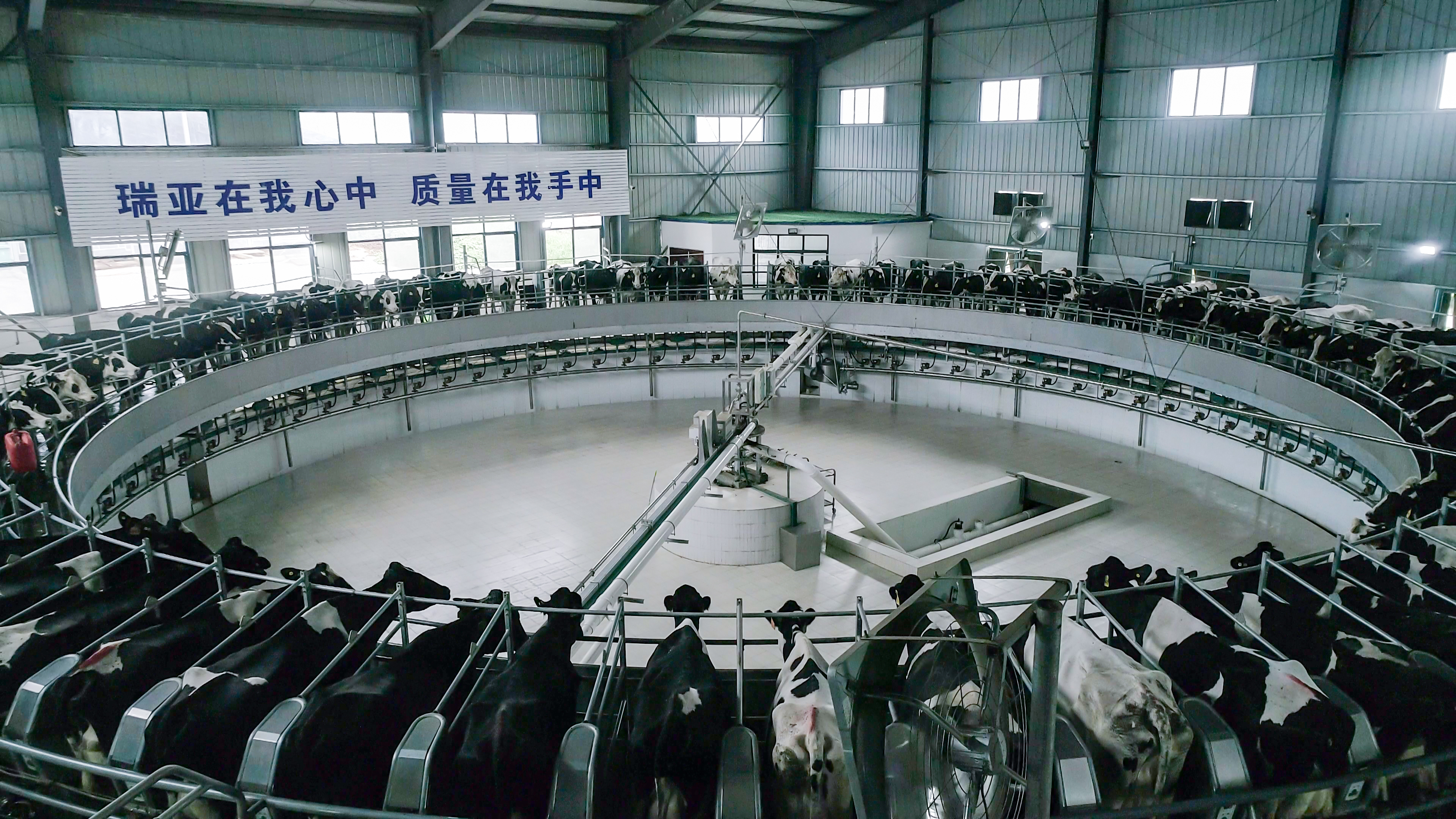 河南省委常委、組織部部長孔昌生 蒞臨河南花花牛集團魯山瑞亞牧業(yè)有限公司調(diào)研