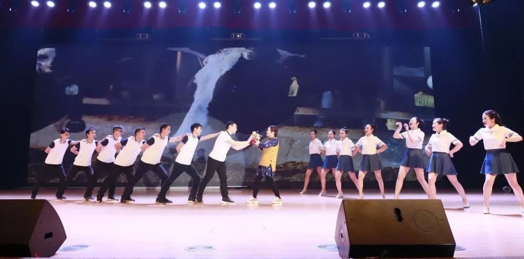 “贏在2019”，花花牛乳業(yè)集團2019年新春晚會盛大開幕