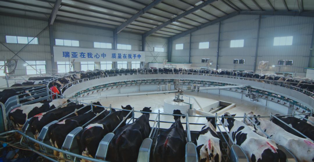 花花牛集團旗下六家公司入選省農業(yè)產業(yè)化重點龍頭企業(yè)名單