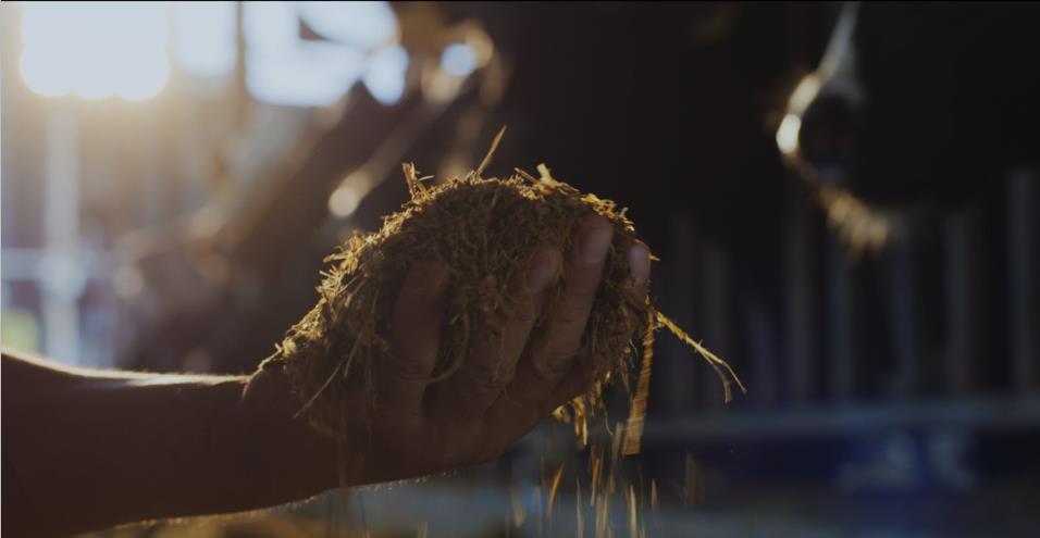 又雙叒叕獲獎(jiǎng)啦！花花牛榮獲“乳品質(zhì)量安全管理 優(yōu)秀企業(yè)”