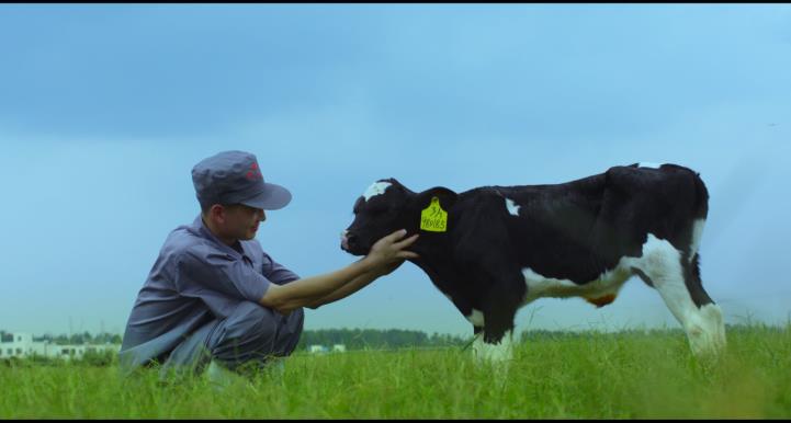 又雙叒叕獲獎(jiǎng)啦！花花牛榮獲“乳品質(zhì)量安全管理 優(yōu)秀企業(yè)”