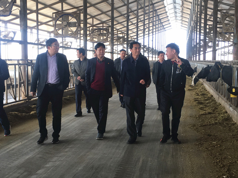 封丘縣縣長(zhǎng)王獻(xiàn)臣一行蒞臨 花花牛集團(tuán)養(yǎng)殖、乳品事業(yè)部參觀調(diào)研