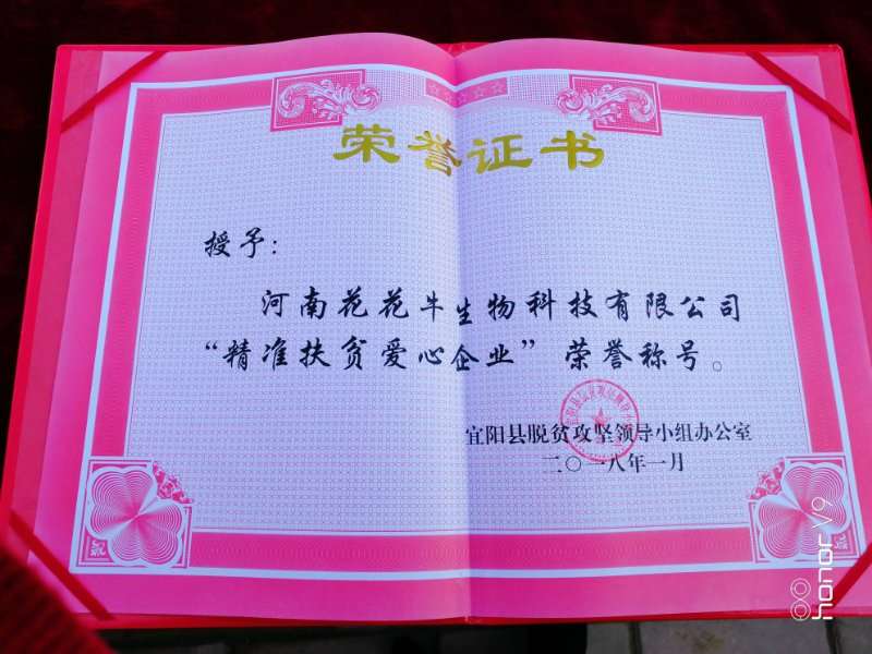 關(guān)愛成長(zhǎng) 相伴未來(lái)——精準(zhǔn)扶貧“暖冬公益行”走進(jìn)宜陽(yáng)縣白楊鎮(zhèn) 關(guān)愛成長(zhǎng) 相伴未來(lái)——精準(zhǔn)扶貧“暖冬公益行”走進(jìn)宜陽(yáng)縣白楊鎮(zhèn)