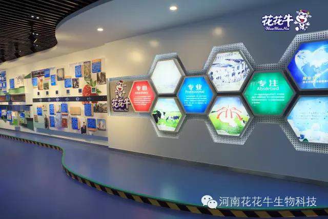 花花牛：務(wù)實(shí)、創(chuàng)新領(lǐng)潮市場 大企業(yè)體現(xiàn)大擔(dān)當(dāng)