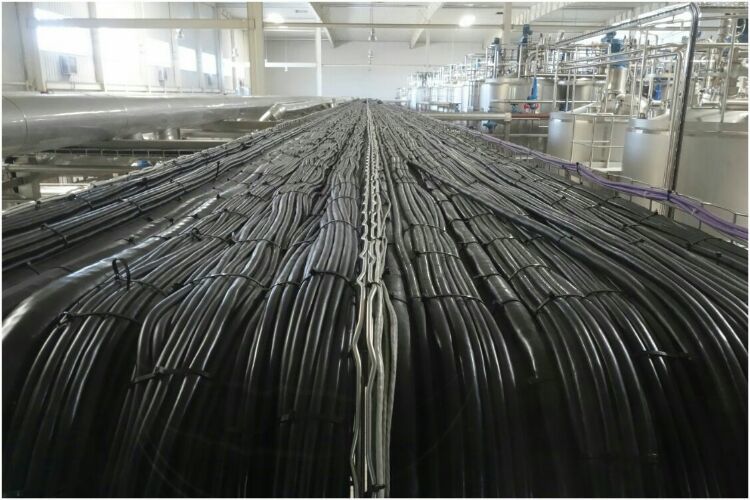 走進(jìn)工廠(chǎng)