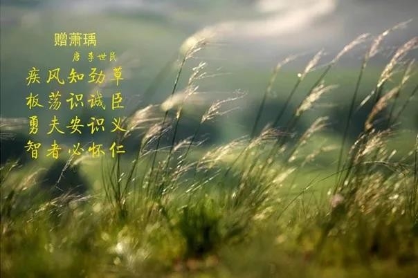 花花牛 | 疾風(fēng)來(lái)臨，你是不是勁草？